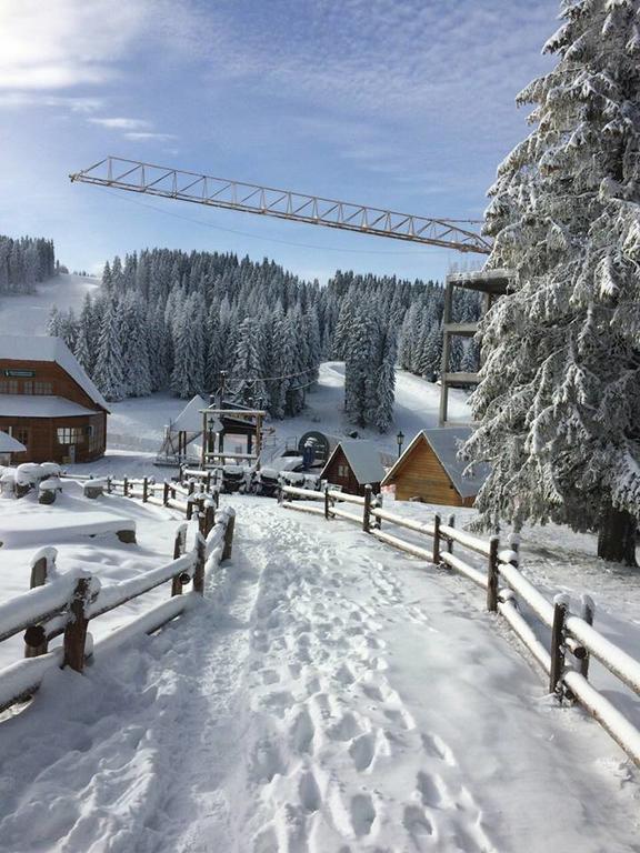 Apartments Vanja I Vrh Kopaonik Exteriör bild