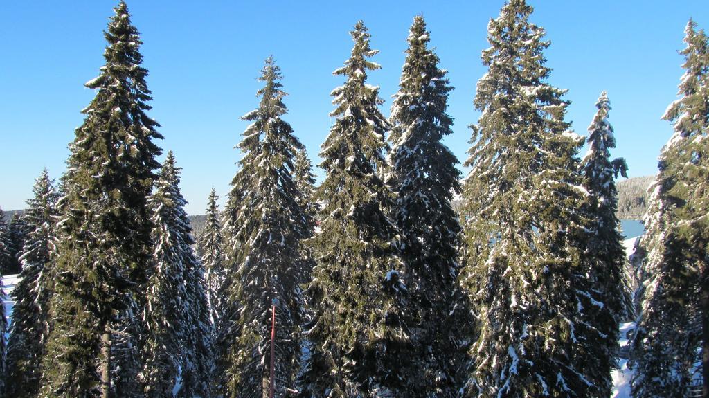 Apartments Vanja I Vrh Kopaonik Exteriör bild